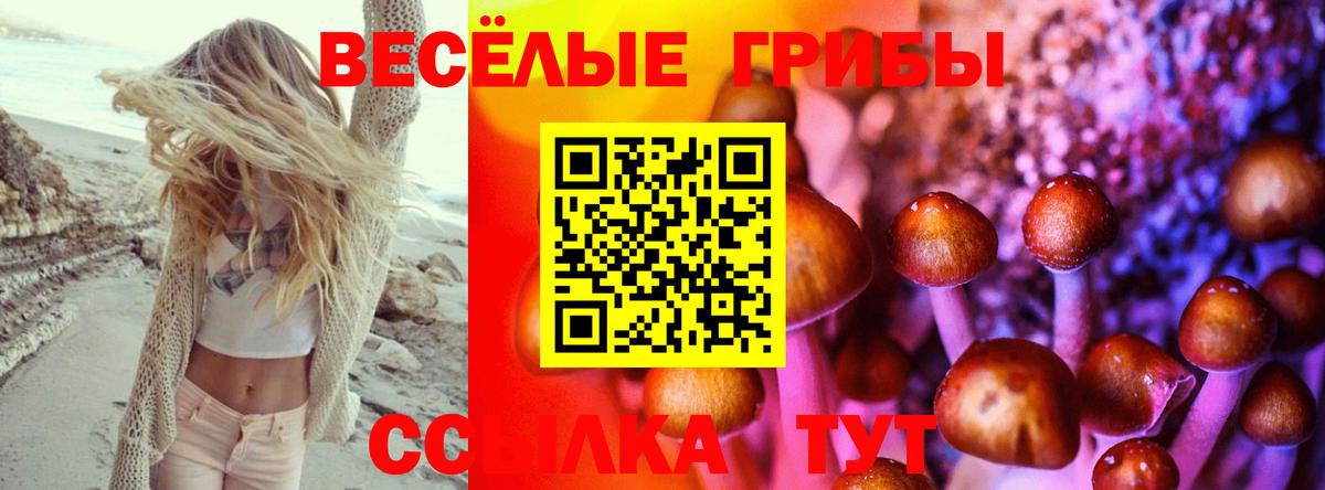 Галлюциногенные грибы мухоморы Мытищи