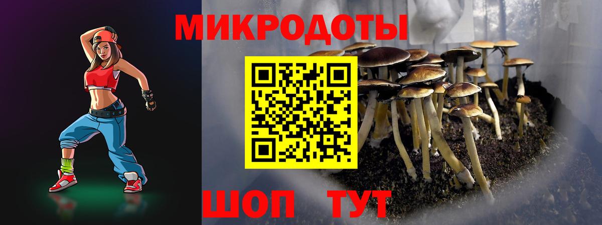 Галлюциногенные грибы прущие грибы  Вход с VPN  Мытищи  Псилоцибиновые грибы мицелий 